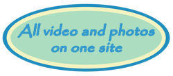 Online wedding photo hosting